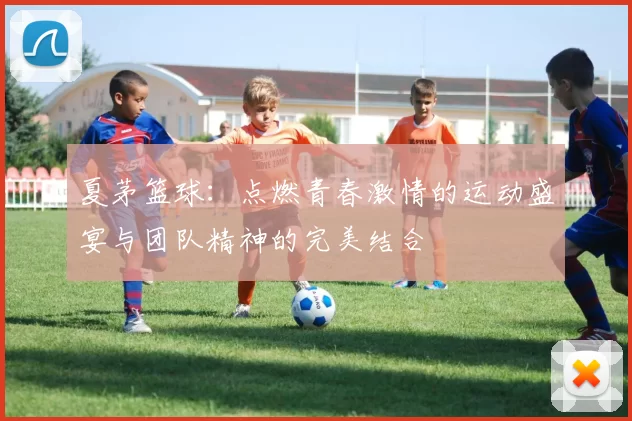 夏茅篮球：点燃青春激情的运动盛宴与团队精神的完美结合