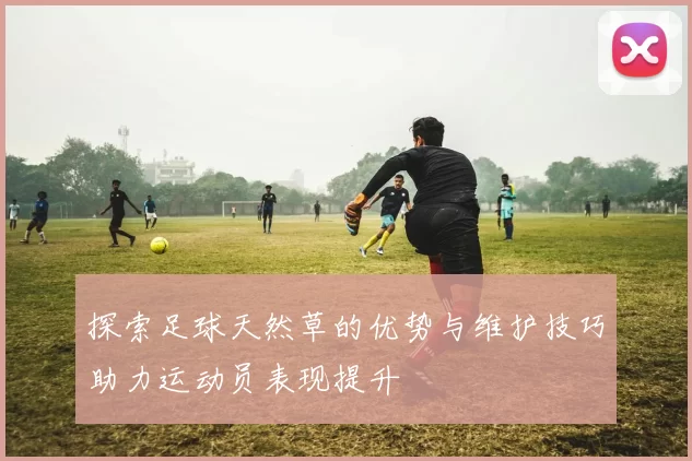 探索足球天然草的优势与维护技巧助力运动员表现提升