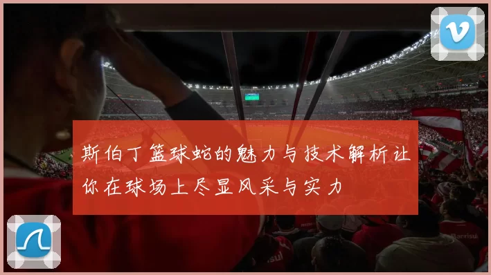 斯伯丁篮球蛇的魅力与技术解析让你在球场上尽显风采与实力